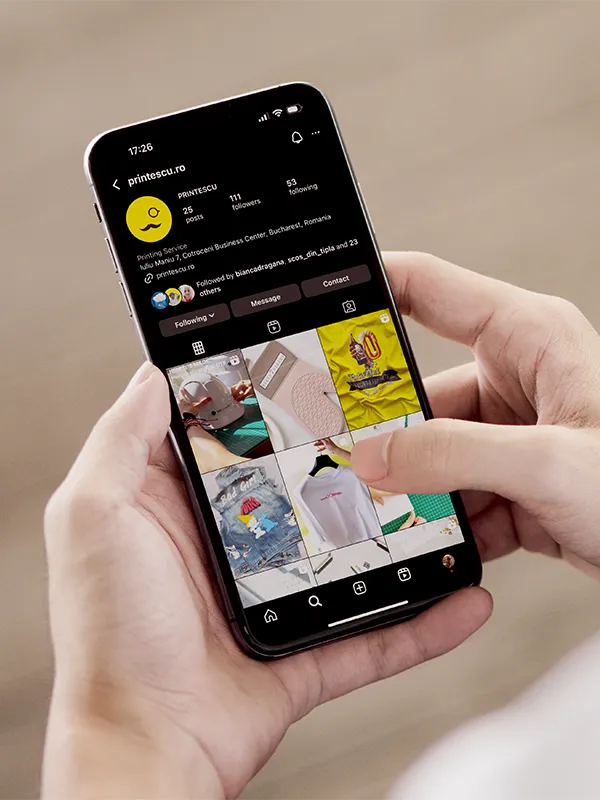 proiect branding, graphic design, web design, web development, content, social media, digital marketing pentru client Printescu