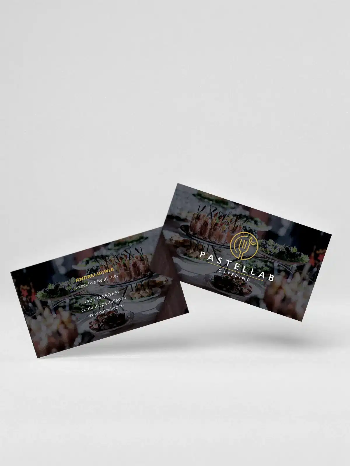 proiect pastellab graphic design logo business card